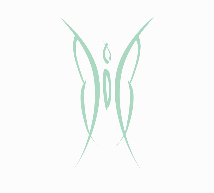 Flic Spa logo